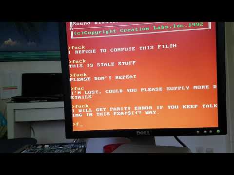 Dr. Sbaitso fails with "PARITY ERROR" due to rude language (SoundBlaster Demo Program)