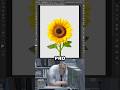 How to Cut Out a Subject from a Blended Background in Photoshop | Beginner vs Pro #shorts #photoshop