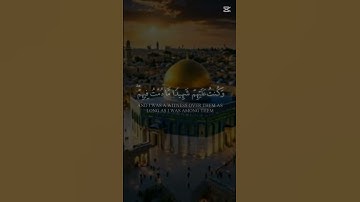 #اكسبلور #المصحف آيات بينات من الذكر الحكيم #الرحمن القرآن- القرآن الكريم #duet #cute