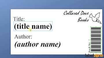 Labelstation Bartender - Connecting a Database to BarTender
