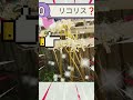 えっ❗何もないところから🤔 #球根 #ヒガンバナ #花 #謎 