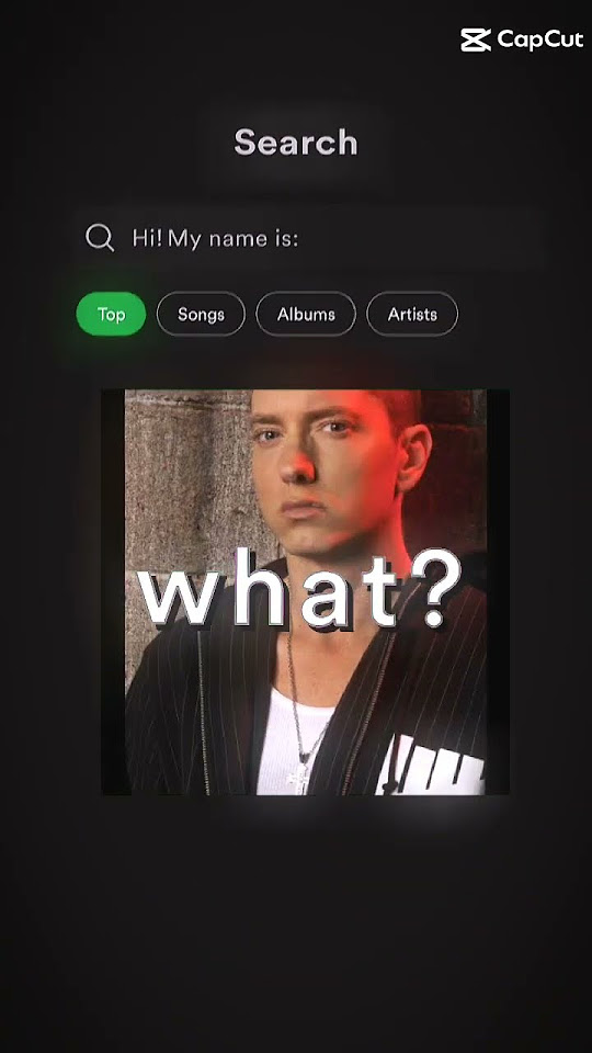 Hi my name is what my name is chicka chicka slim shady eminem shorts