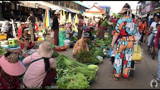 Amazing Morning Country Village and Market Tour at Stung Treng province | Northern Town of Cambodia