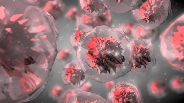 Cinema 4D Blob Animation