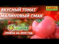 🍅 ВКУСНЫЙ ГИБРИД ТОМАТА - Малиновый Смак F1