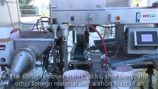 WECO Wine Grape sorting equipment screenshot 3