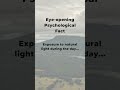 Unlocking the Power of Natural Light: Boost Your Mood, Energy, and Sleep Quality #factshorts #short