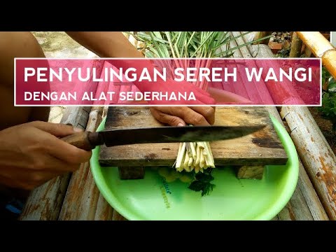 Video: Serai Wangi - Citronella