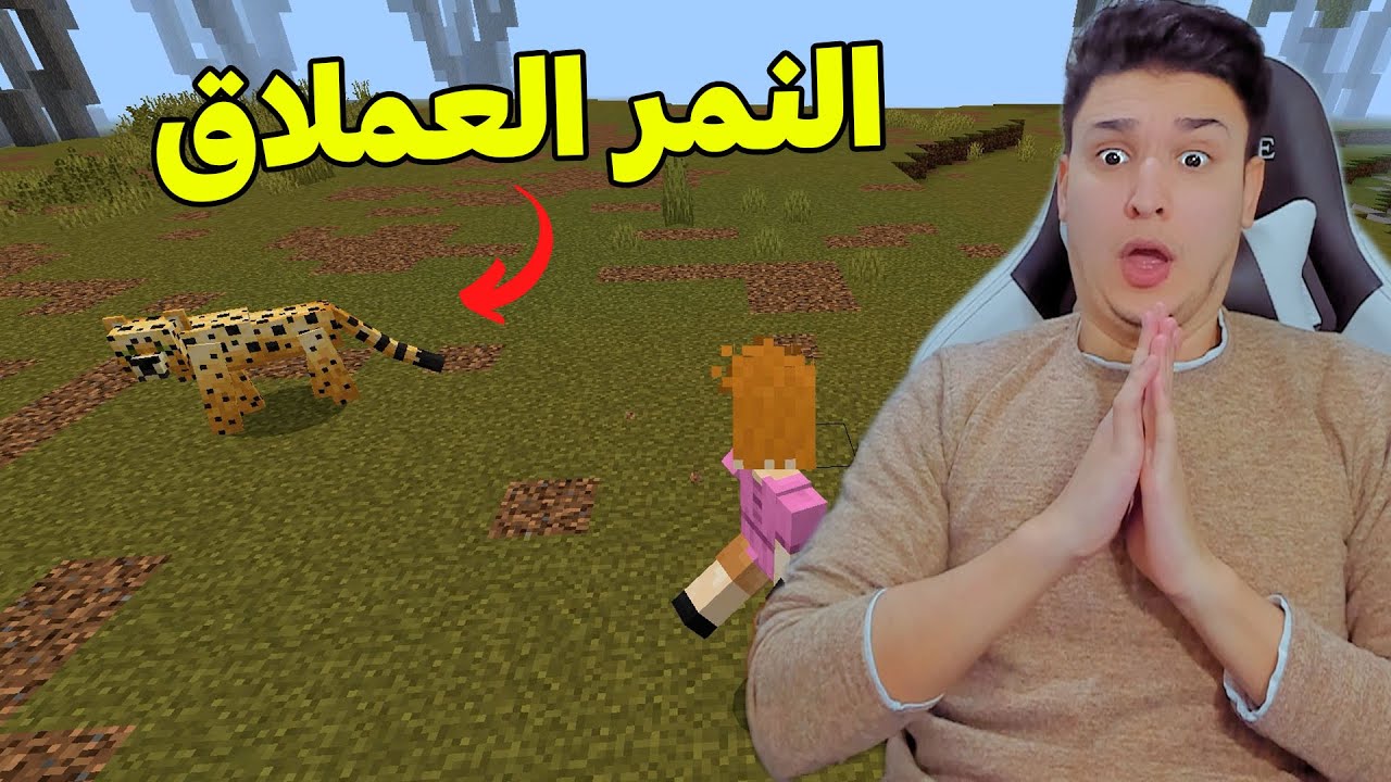 حديقة الحيوانات فى ماين كرافت