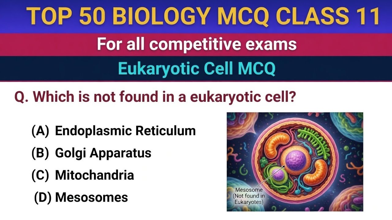 Eukaryotic Cell Top 50 MCQ for Competitive Exams | Cell Biology MCQ ...