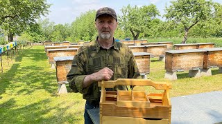 Маркери для мічення бджолиних маток (26.05.2023 р.)