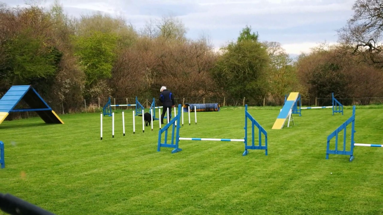 Wuf CAC agility 3rd April(11)