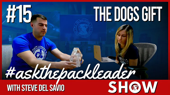 Ask The Pack Leader- #15 The Dogs Gift