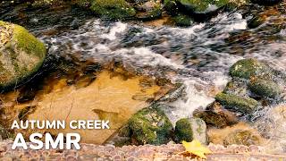 Autumn Creek ASMR 4K | Flowing Water Sounds for Sleep & Relaxation (45 Min)