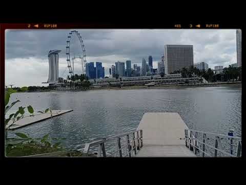ვიდეო: 10000 ბუზონის რეგულირებადი პოლონელი, რომელიც მოწოდებულია Marina Bay Sands ტერასებზე