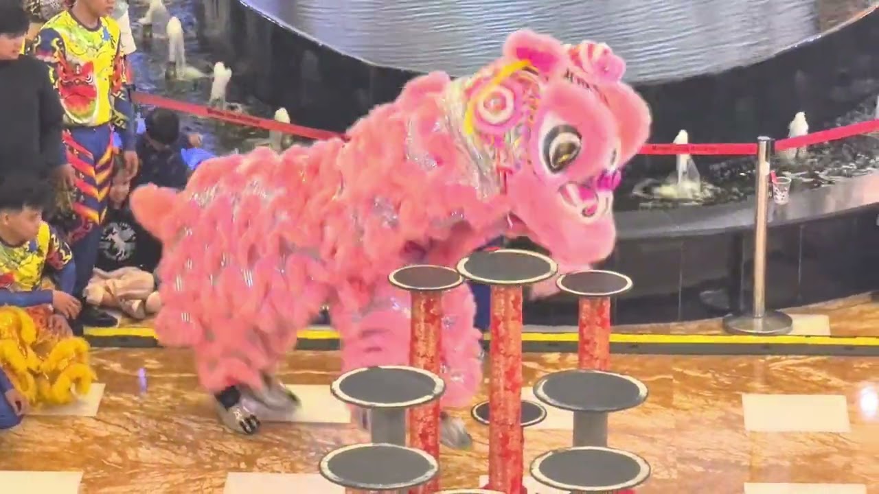 Barongsai imlek 2026 #imlek #barongsai #fyp #trending 