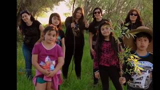 Vida al aire libre - Paseo por Rucapequen