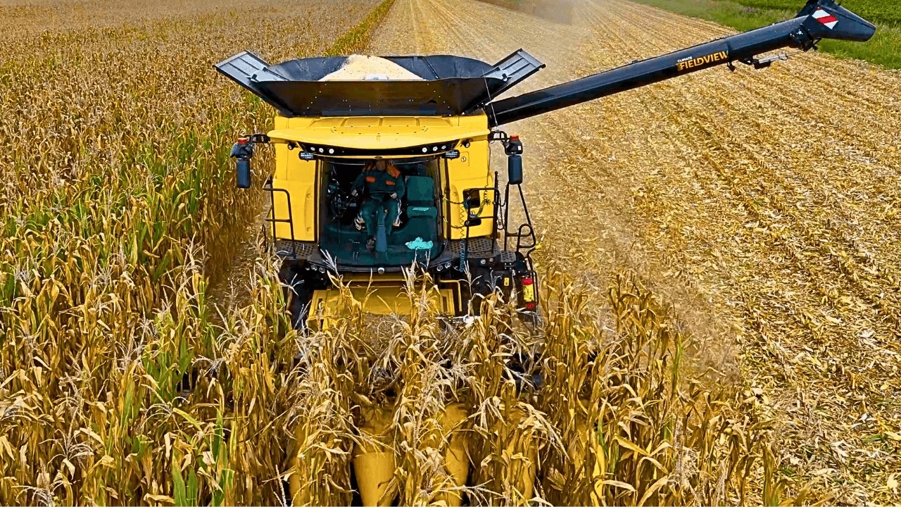 ОБМОЛОТКА 2025 СИЛОС 2025 NEW HOLLAND CASE IH JOHN DEERE FENDT