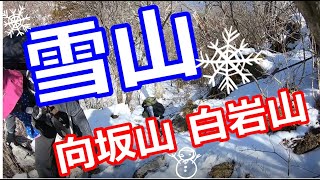 【向坂山&白岩山】五ヶ瀬スキー場登山口から雪山登山