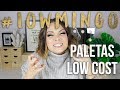 10 Paletas Low Cost que SÍ valen la pena | #Lowmingos