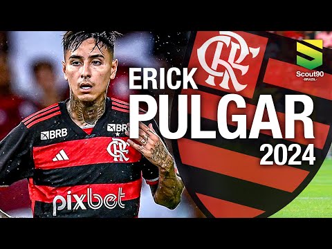 Erick Pulgar 2024 - Magic Skills, Passes & Gols - Flamengo | HD