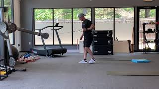 Reverse Lunge w/1-Arm Cable Row