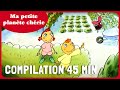 Ma petite plante chrie  compilation dessin anim ducatif 45 minutes  folikids 