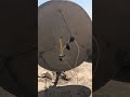 التقاط 3 أقمار على طبق 164 سم