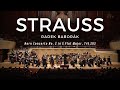 Capture de la vidéo R. Strauss: Horn Concerto No. 2 In E Flat Major, Trv 283 / Radek Baborák