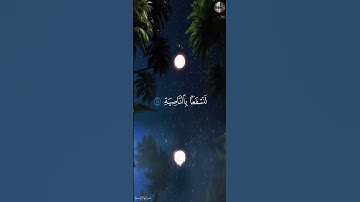 أَرَءَيۡتَ ٱلَّذِي يَنۡهَىٰ ﴿٩﴾ عَبۡدًا إِذَا صَلَّىٰٓ - شريف مصطفى [ سورة الـعلق , ٩ - ١٩ ]