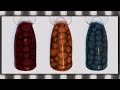 Маникюр гель лаком Змеиная кожа, Эффект кожи рептилий | 3D Snakeskin  Nail Art Tutorial