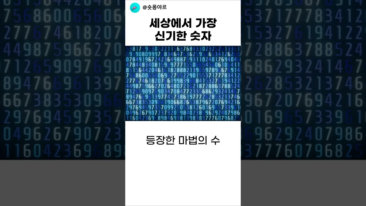 세상에서 가장 신기한 숫자 (BGM 수정)