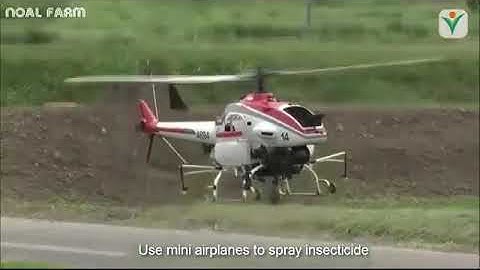 Cùng xem cách người Nhật trồng lúa