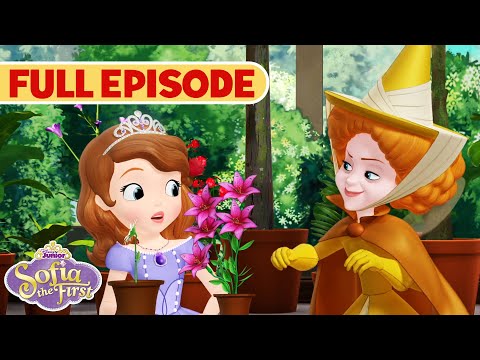 Make Way for Miss Nettle | S1 E16 | Sofia the First | Full Episode | @disneyjunior