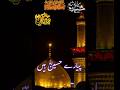 دلوں کا چین، میرے پیارے حسین ع ✨ | #Shorts #Hussain #IslamicShorts