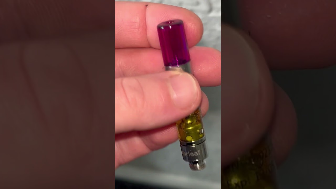 Clearleaf blueberry Kush cart 