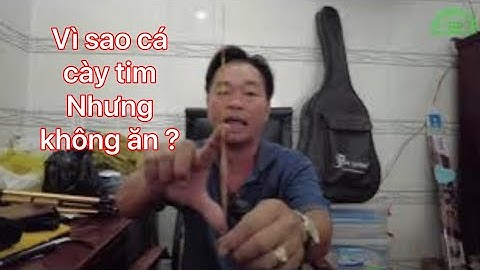 Giải đáp vì sao cá cày tim mà không ăn ....