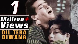 Dil Tera Deewana Hai Sanam | Shammi Kapoor | Lata Mangeshkar Mohammed Rafi | New Colour version Song chords