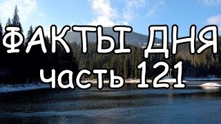 ФАКТЫ ДНЯ. Интересная информация для Вашего ума (Часть 121)