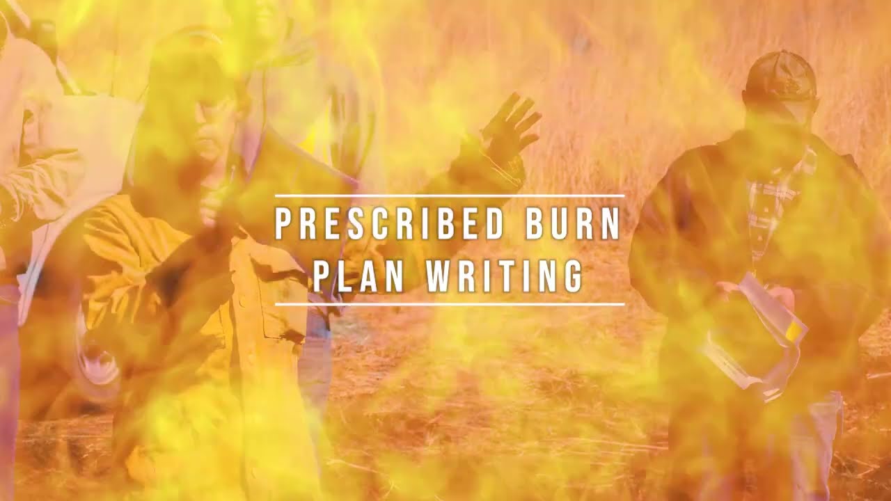 Burn Plan Writing