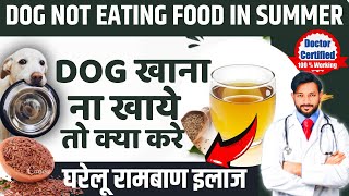 Dog Khana Na Khaye To Kya Kare | डॉग खाना ना खाये तों क्या करे | Dog Not Eating food | In Hind