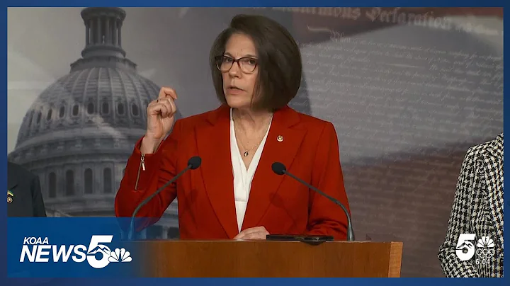 Government Shutdown Deal PASSES Senate - Democrats Split Over Missing Healthcare Fix