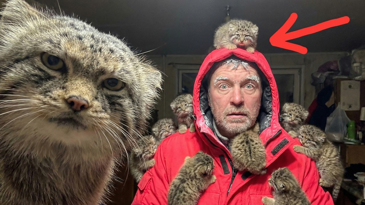 I Saved a "Stray" in the Ice... Now They Won't Let Me Up! 🛑