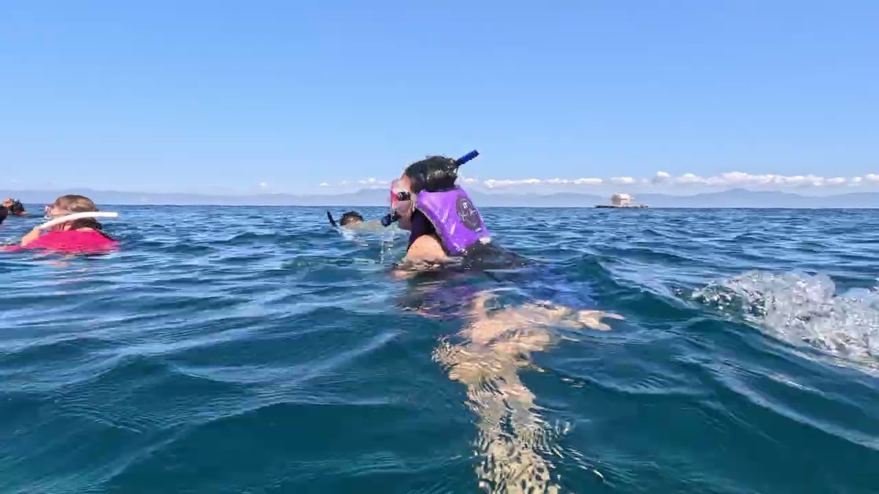 BALLESTEROS sardines'run pt3