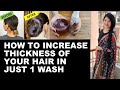 How to increase thickness of hair in 1 wash/ 1 Wash challenge for faster, thicker , longer hair