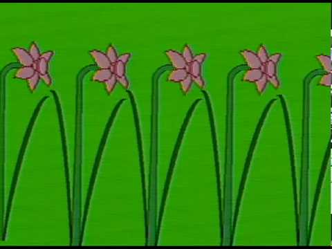 10-Foot Pink Daffodils