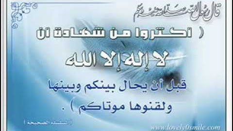 سورة ق للقاريء هاني الرفاعي