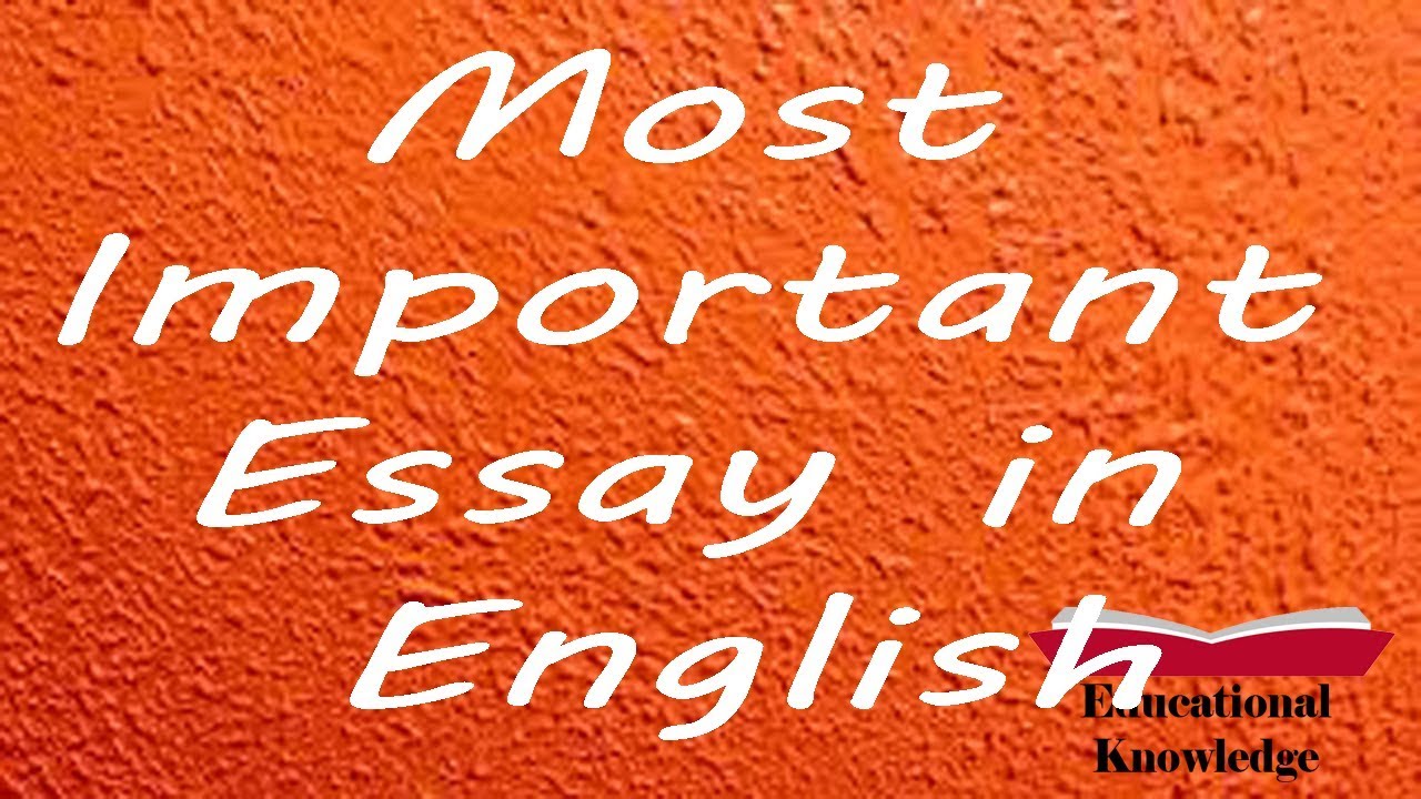 how english is important essay