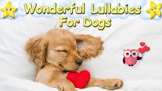 Dog Music Super Effective Sleep Music For Puppies ♫ Calm Your Cocker Spaniel ♥ Lullaby For Dogs