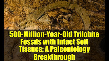 500-Million-Year-Old Trilobite Fossils with Intact Soft Tissues: A Paleontology Breakthrough